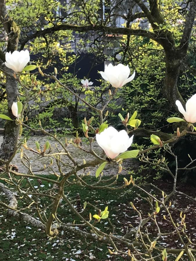 مبيت وإفطار Aumont-en-Halatte L'Atelier Des Magnolias المظهر الخارجي الصورة